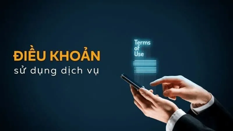 Giới thiệu về điều khoản sử dụng